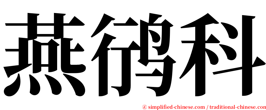 燕鸻科 serif font