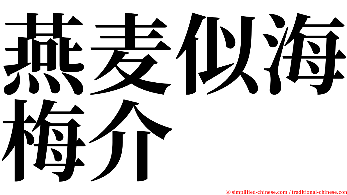 燕麦似海梅介 serif font