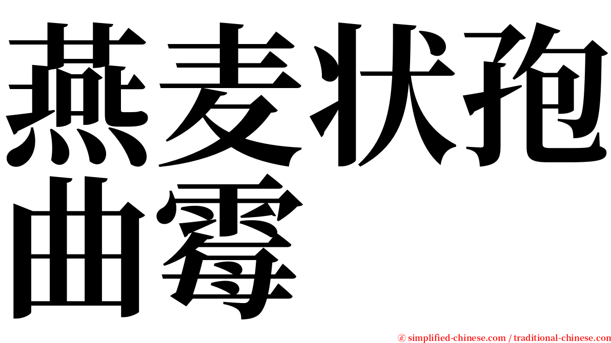 燕麦状孢曲霉 serif font