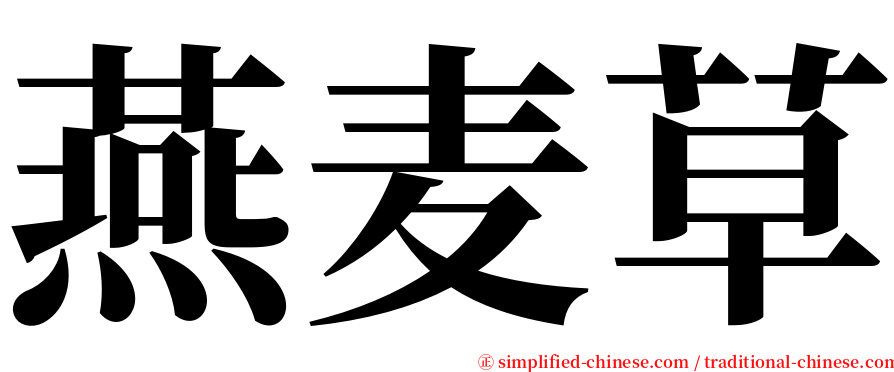 燕麦草 serif font