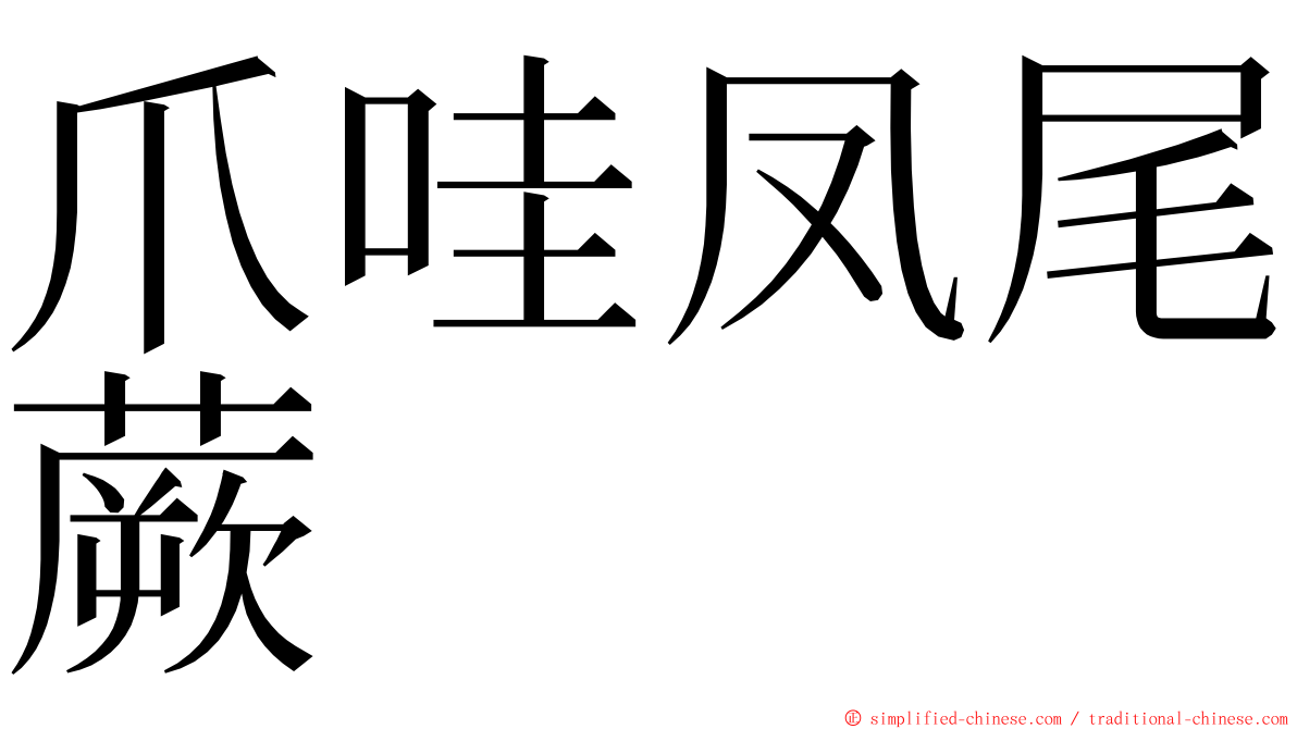 爪哇凤尾蕨 ming font