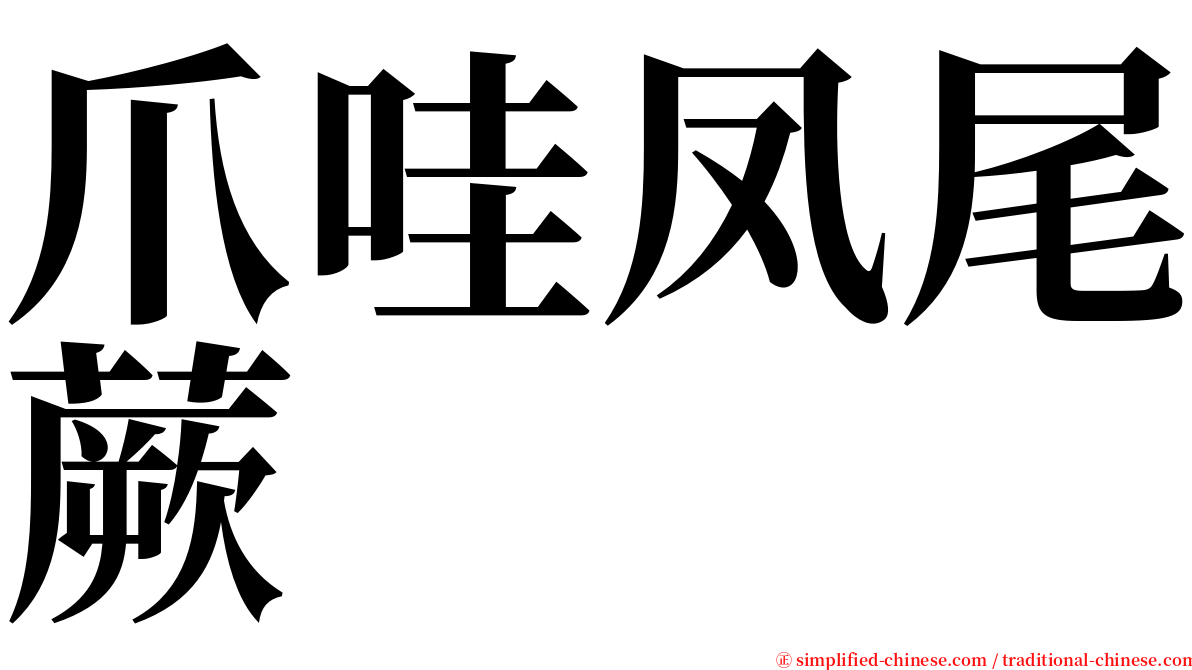 爪哇凤尾蕨 serif font