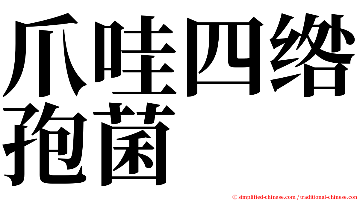 爪哇四绺孢菌 serif font