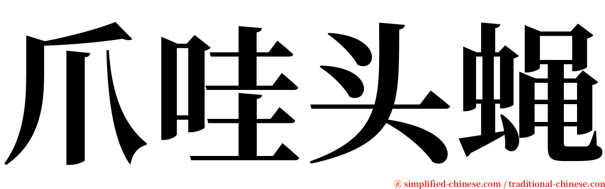 爪哇头蝇 serif font