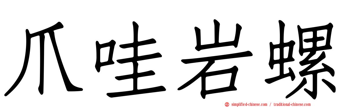 爪哇岩螺