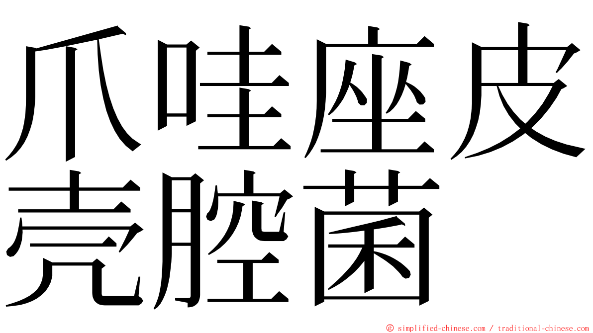 爪哇座皮壳腔菌 ming font