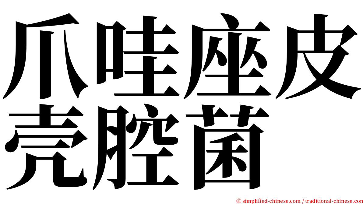 爪哇座皮壳腔菌 serif font
