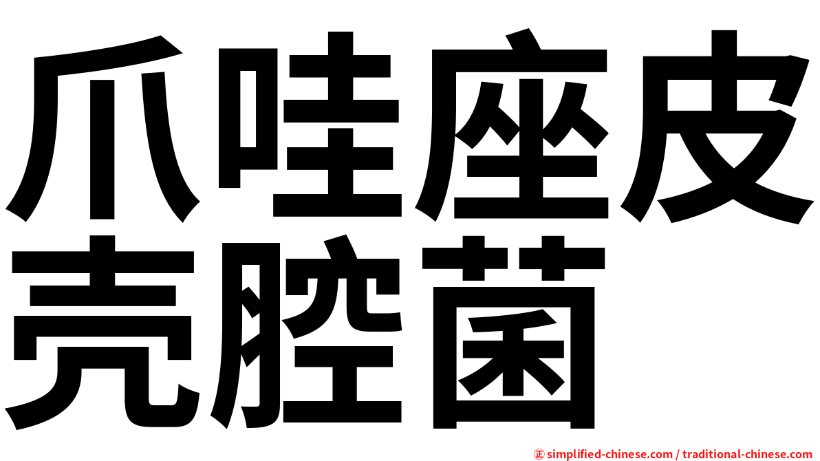 爪哇座皮壳腔菌