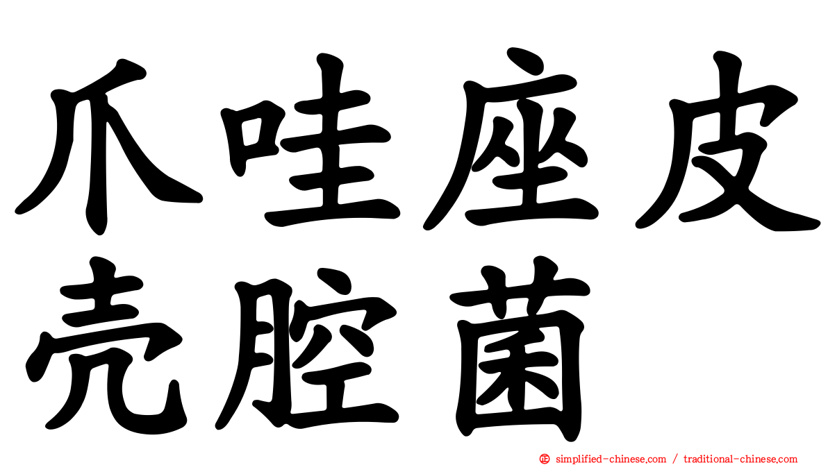 爪哇座皮壳腔菌