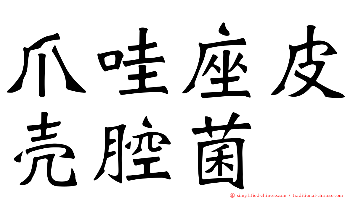 爪哇座皮壳腔菌