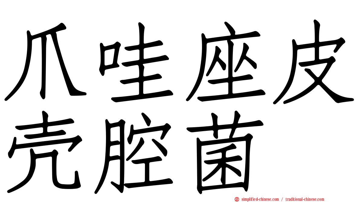 爪哇座皮壳腔菌