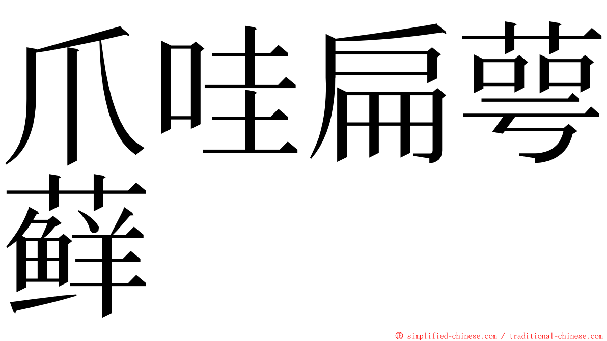 爪哇扁萼藓 ming font