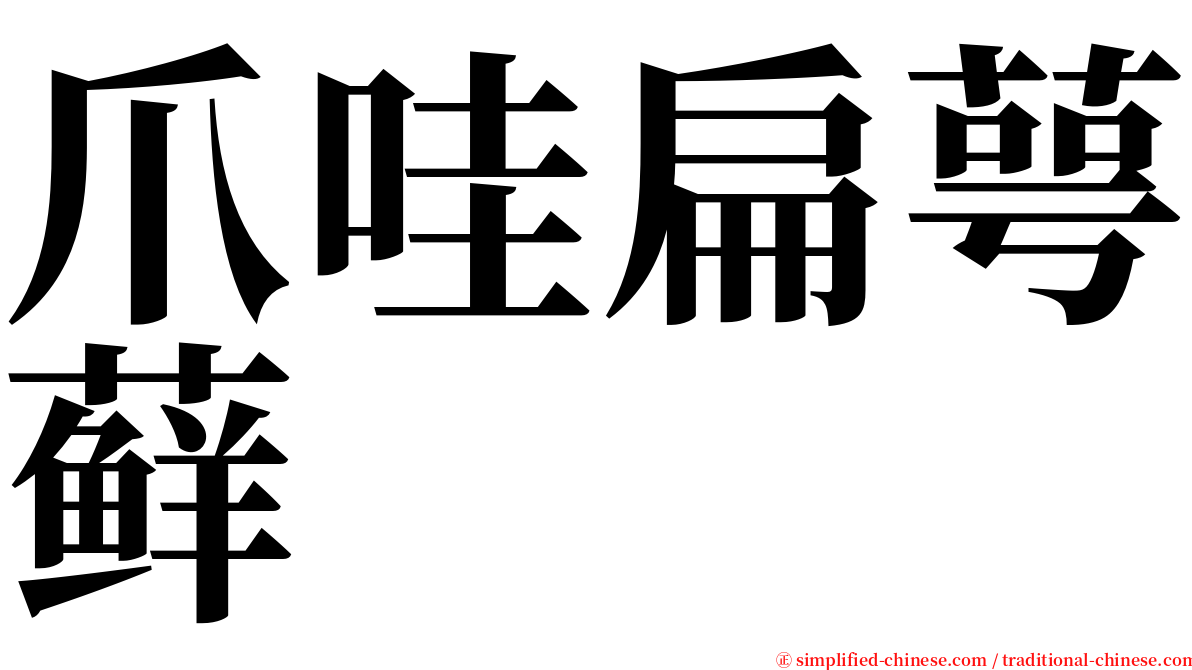 爪哇扁萼藓 serif font