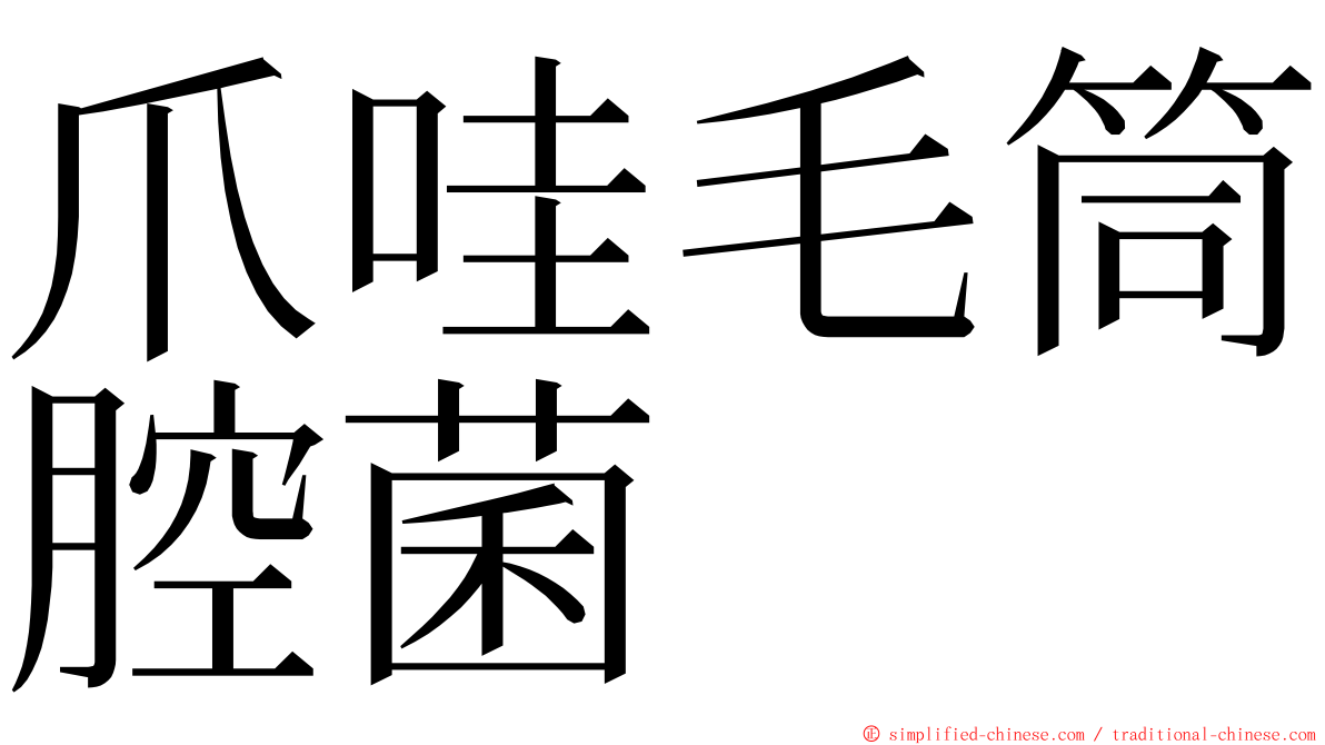 爪哇毛筒腔菌 ming font