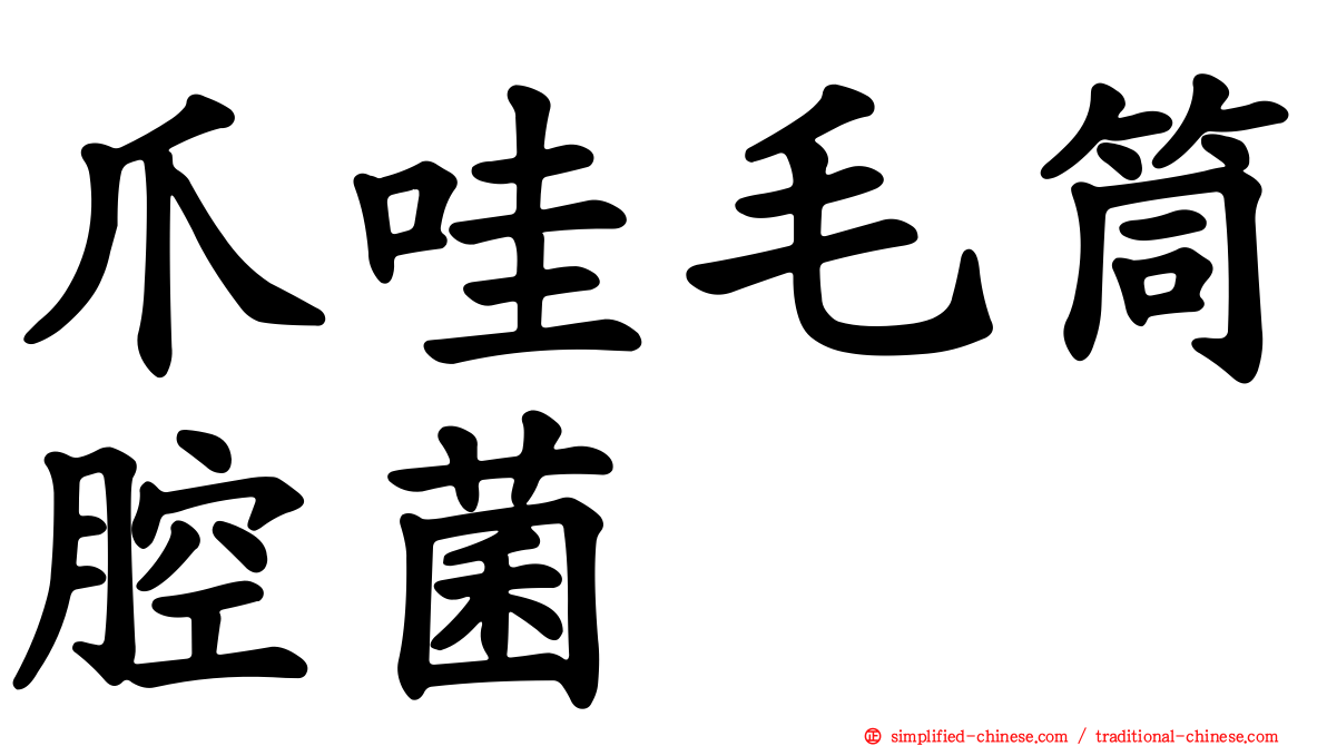 爪哇毛筒腔菌