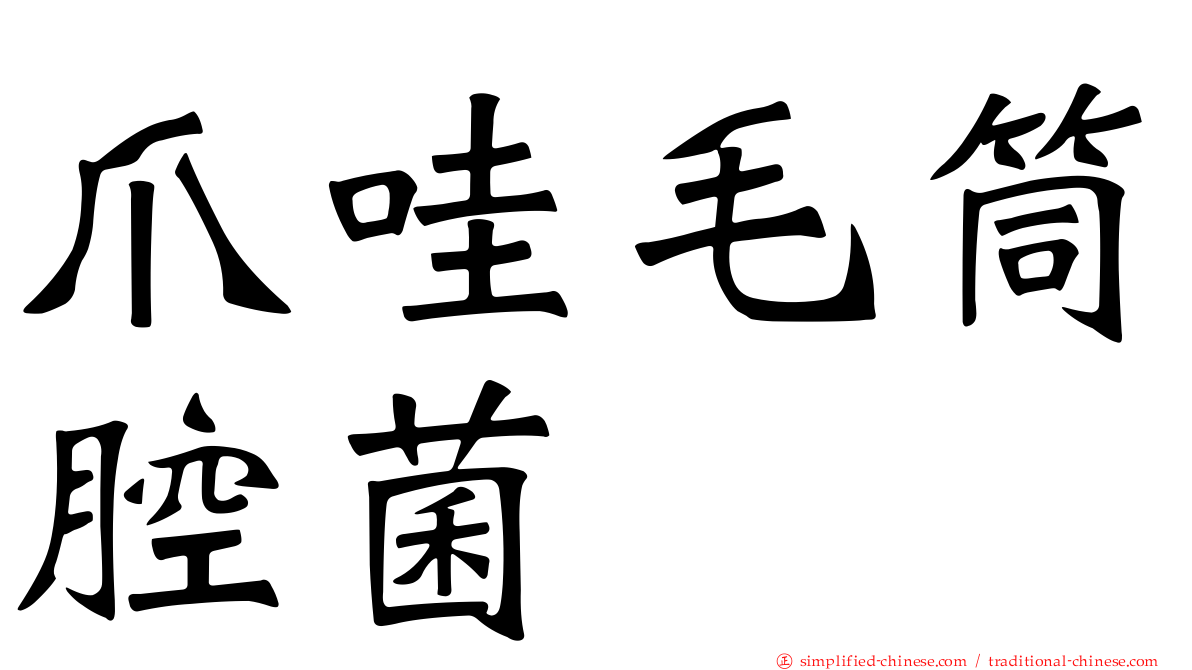 爪哇毛筒腔菌