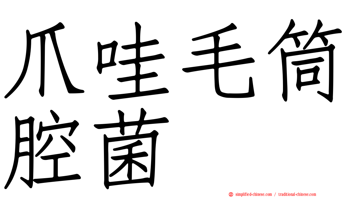 爪哇毛筒腔菌