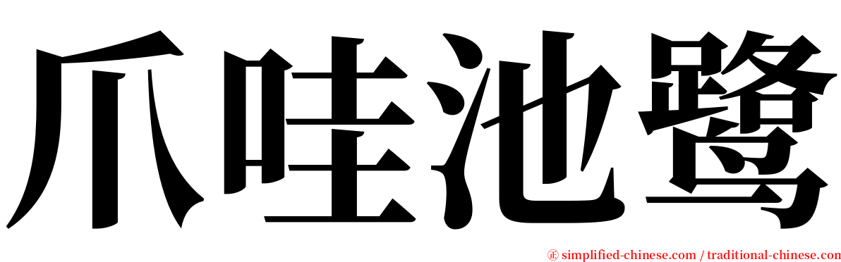 爪哇池鹭 serif font