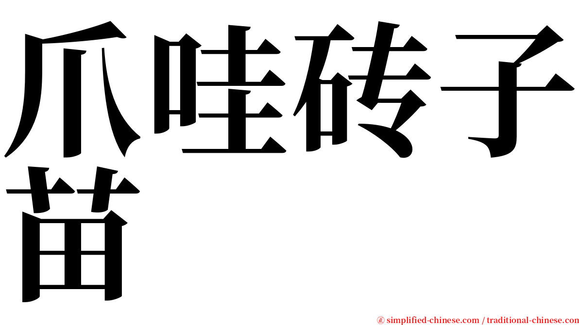 爪哇砖子苗 serif font