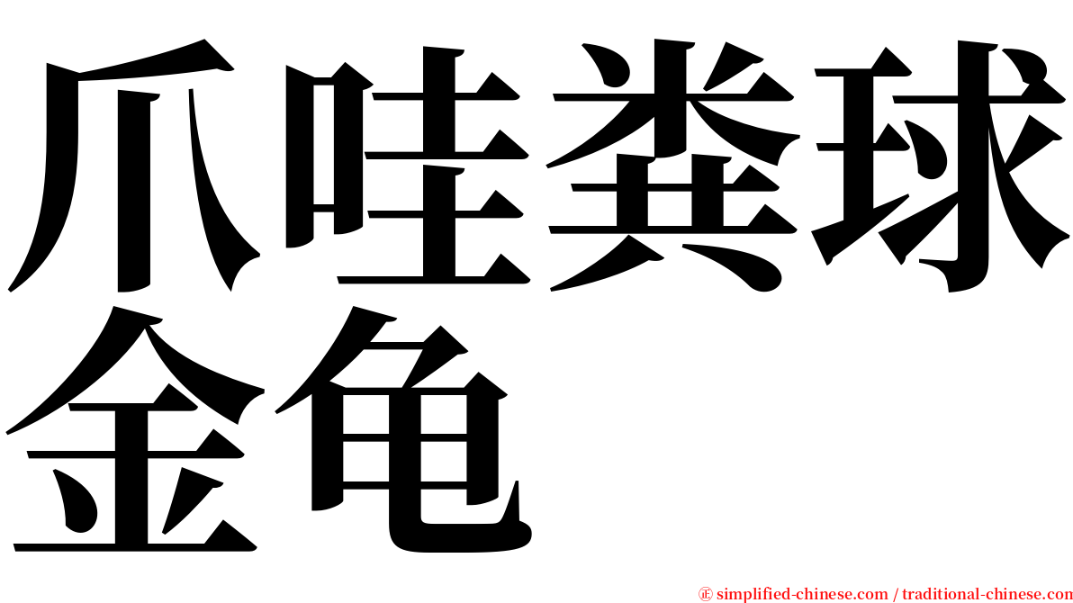 爪哇粪球金龟 serif font