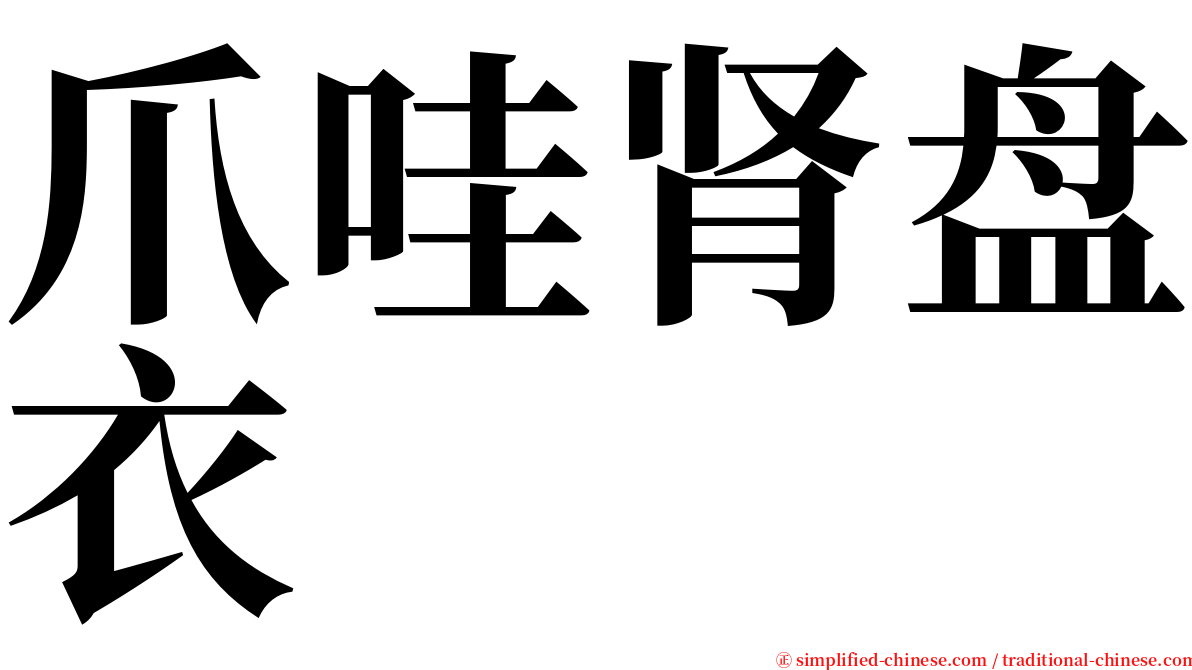 爪哇肾盘衣 serif font