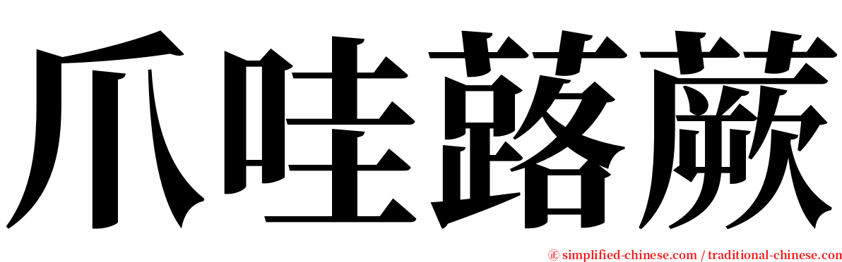 爪哇蕗蕨 serif font