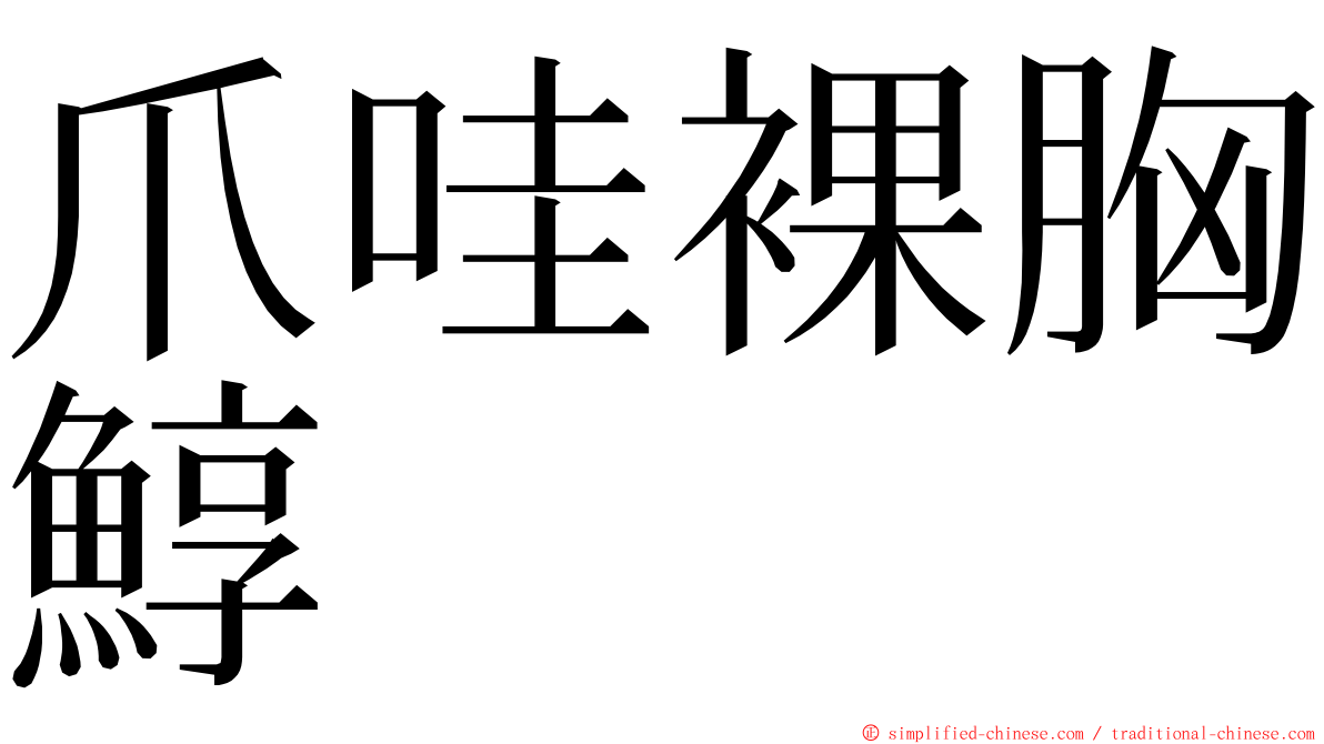 爪哇裸胸鯙 ming font