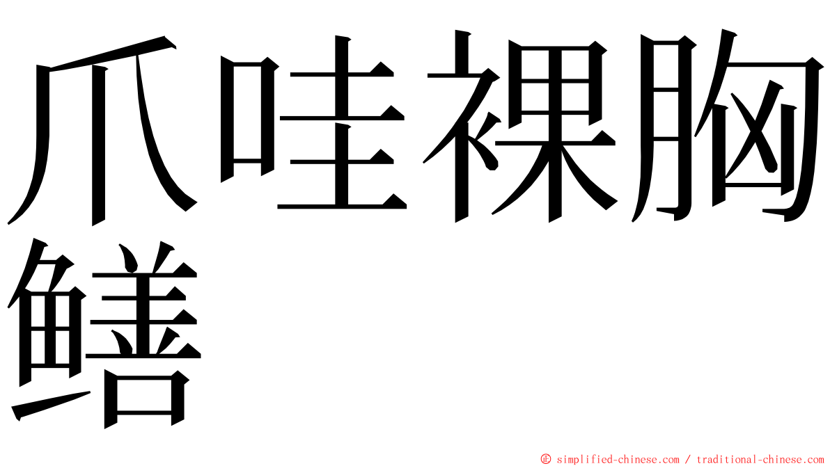 爪哇裸胸鳝 ming font