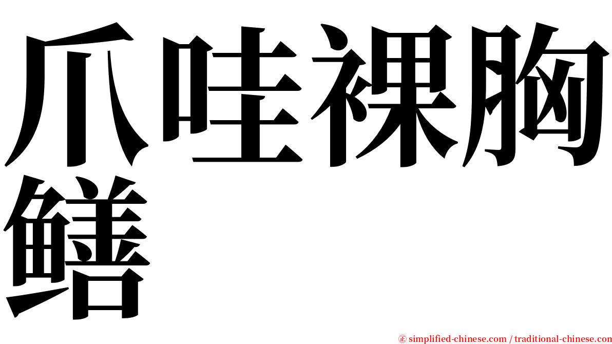 爪哇裸胸鳝 serif font