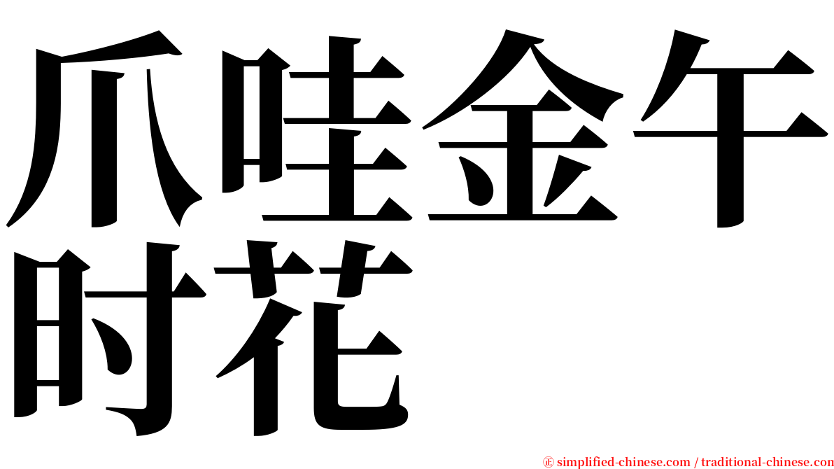 爪哇金午时花 serif font