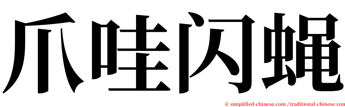 爪哇闪蝇 serif font