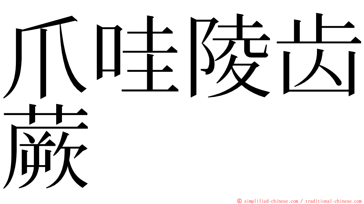 爪哇陵齿蕨 ming font