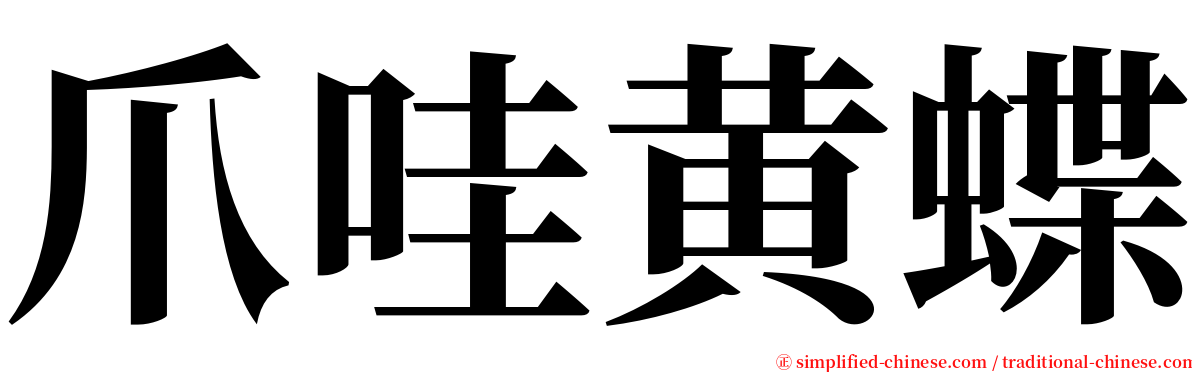 爪哇黄蝶 serif font