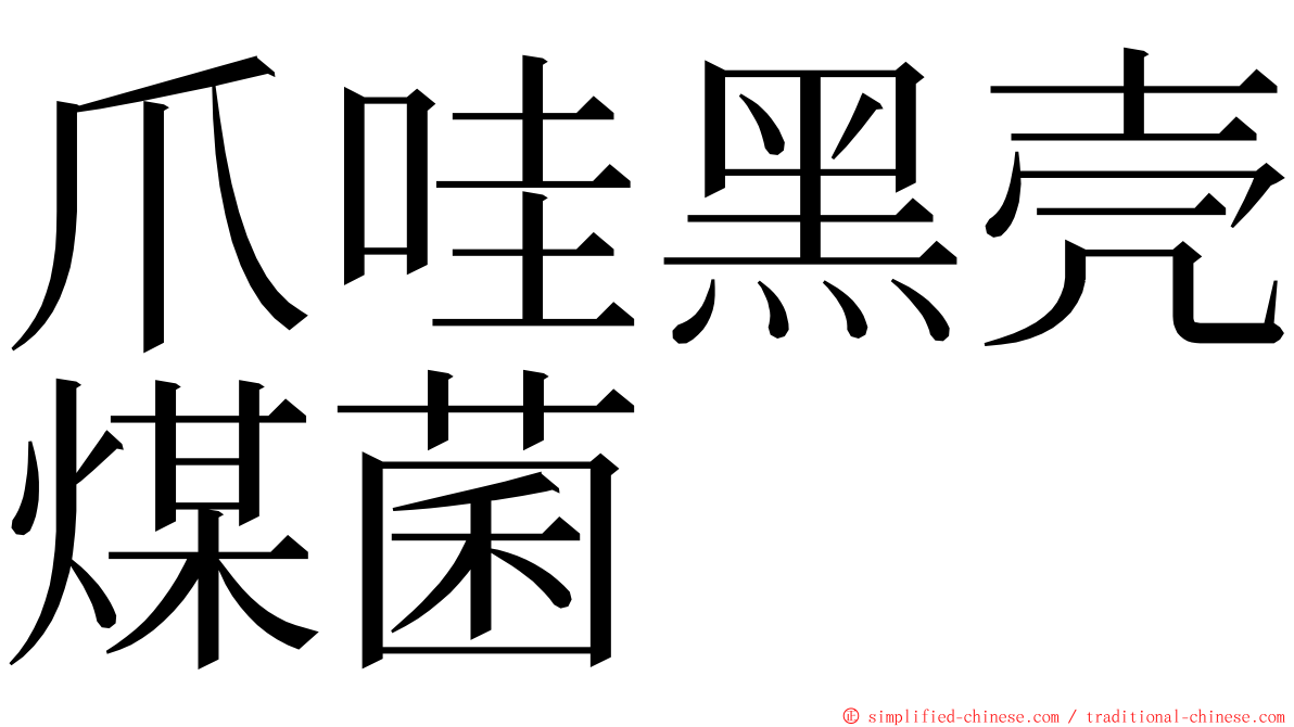 爪哇黑壳煤菌 ming font