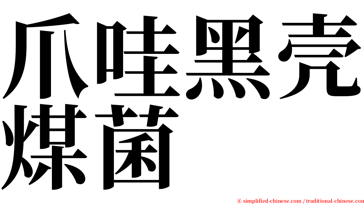 爪哇黑壳煤菌 serif font