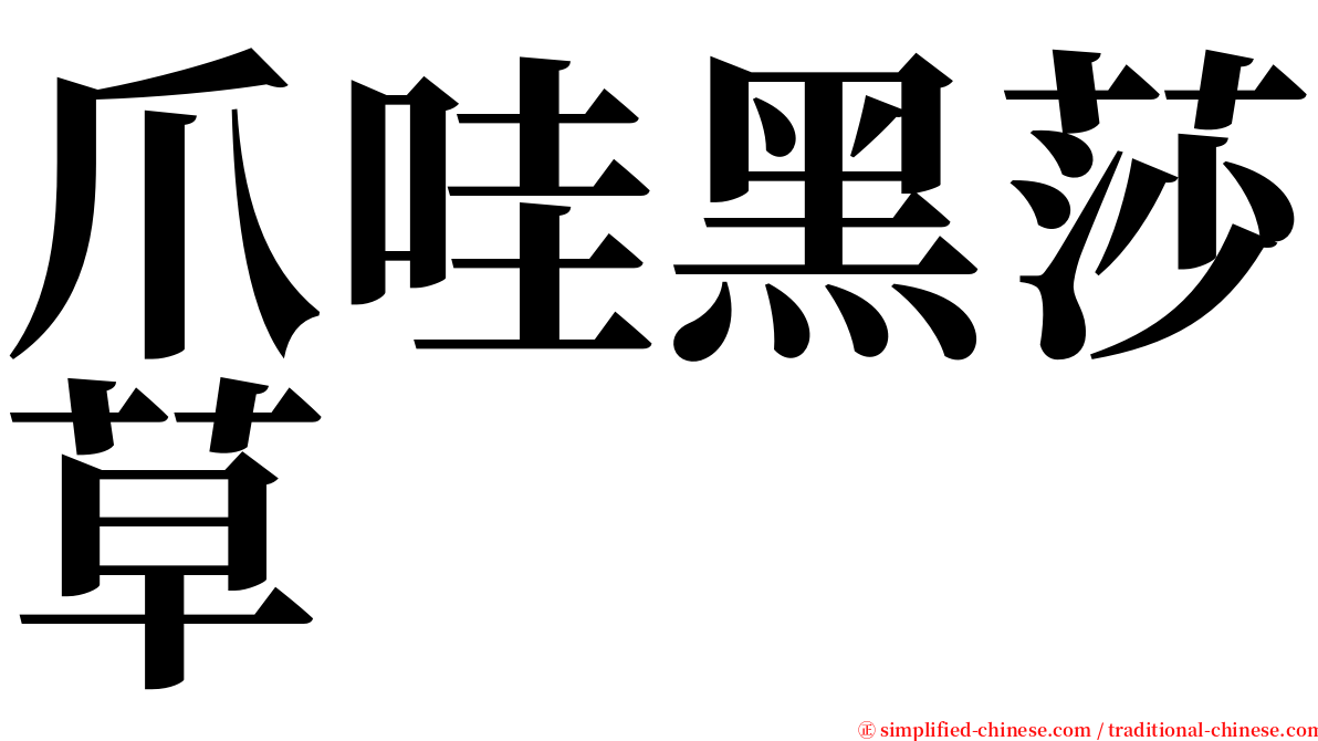 爪哇黑莎草 serif font