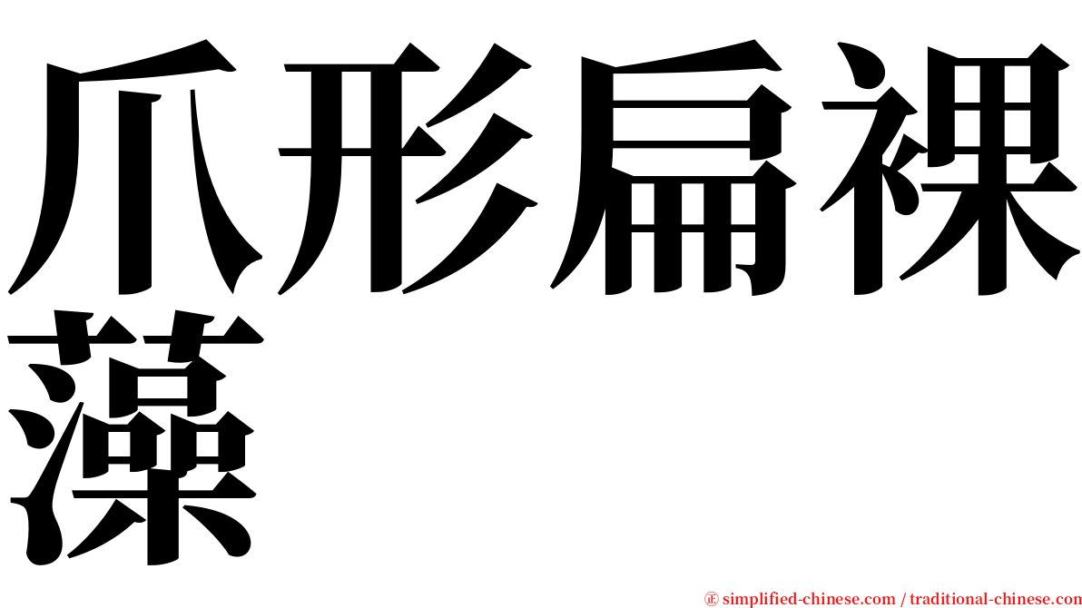 爪形扁裸藻 serif font