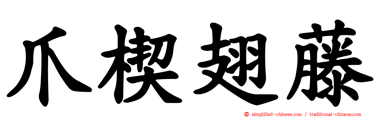 爪楔翅藤