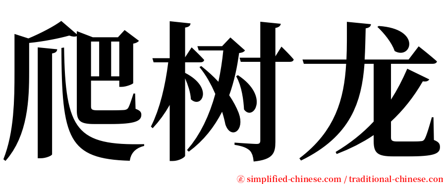 爬树龙 serif font