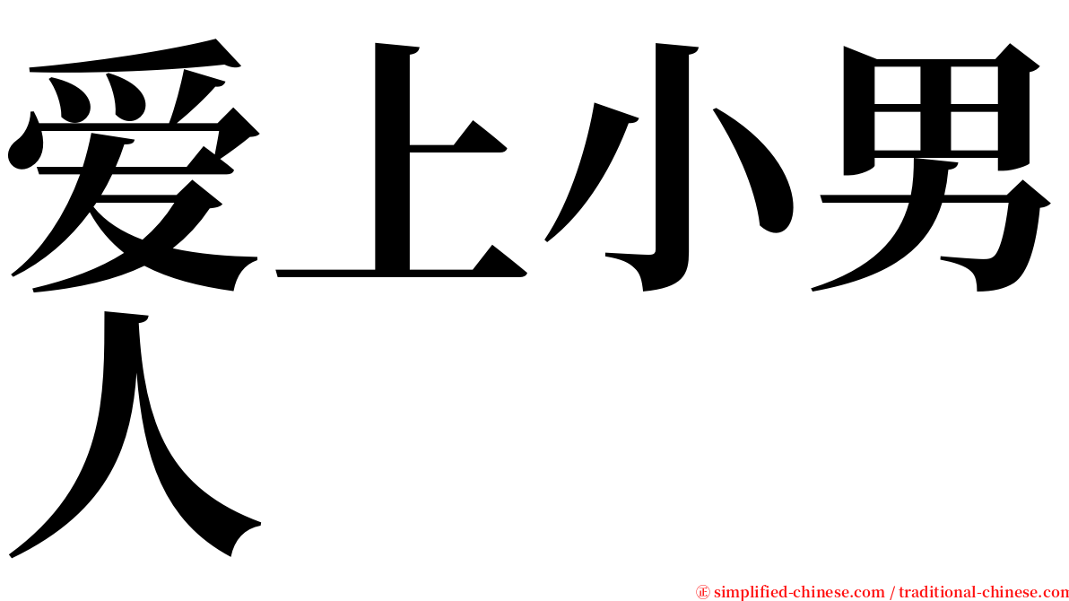 爱上小男人 serif font