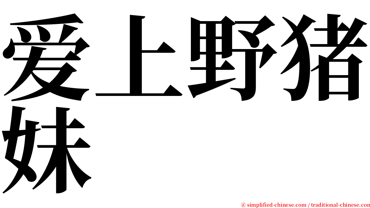爱上野猪妹 serif font
