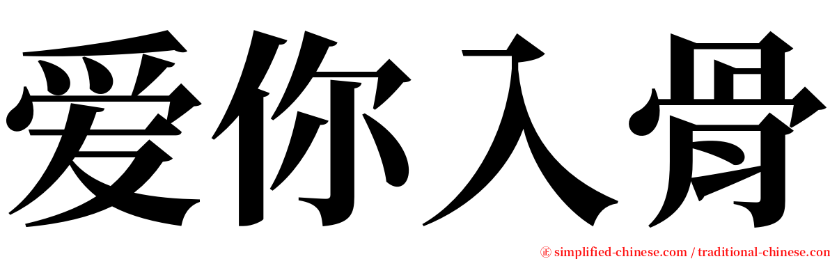 爱你入骨 serif font