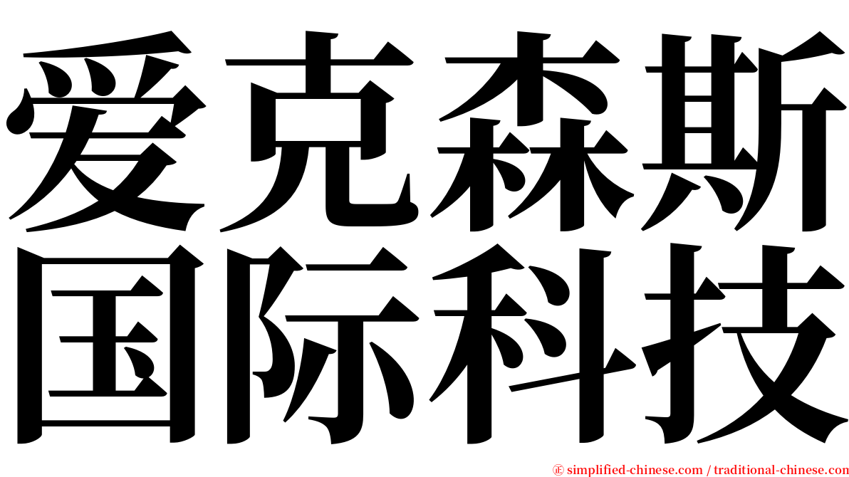 爱克森斯国际科技 serif font