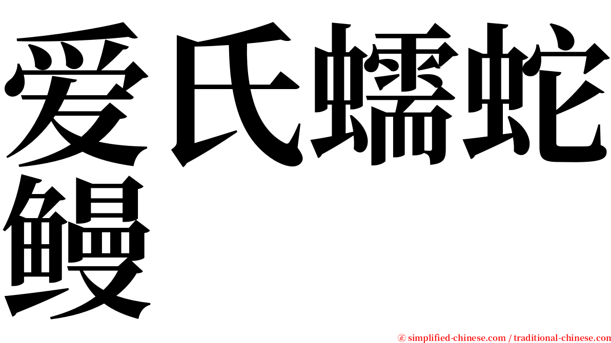 爱氏蠕蛇鳗 serif font