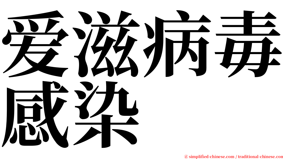 爱滋病毒感染 serif font