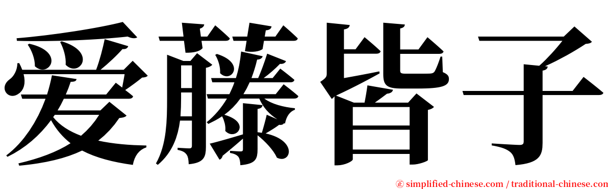 爱藤皆子 serif font