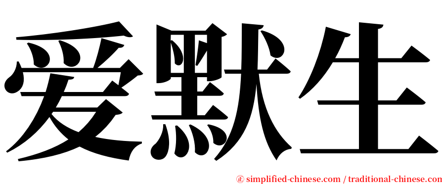 爱默生 serif font