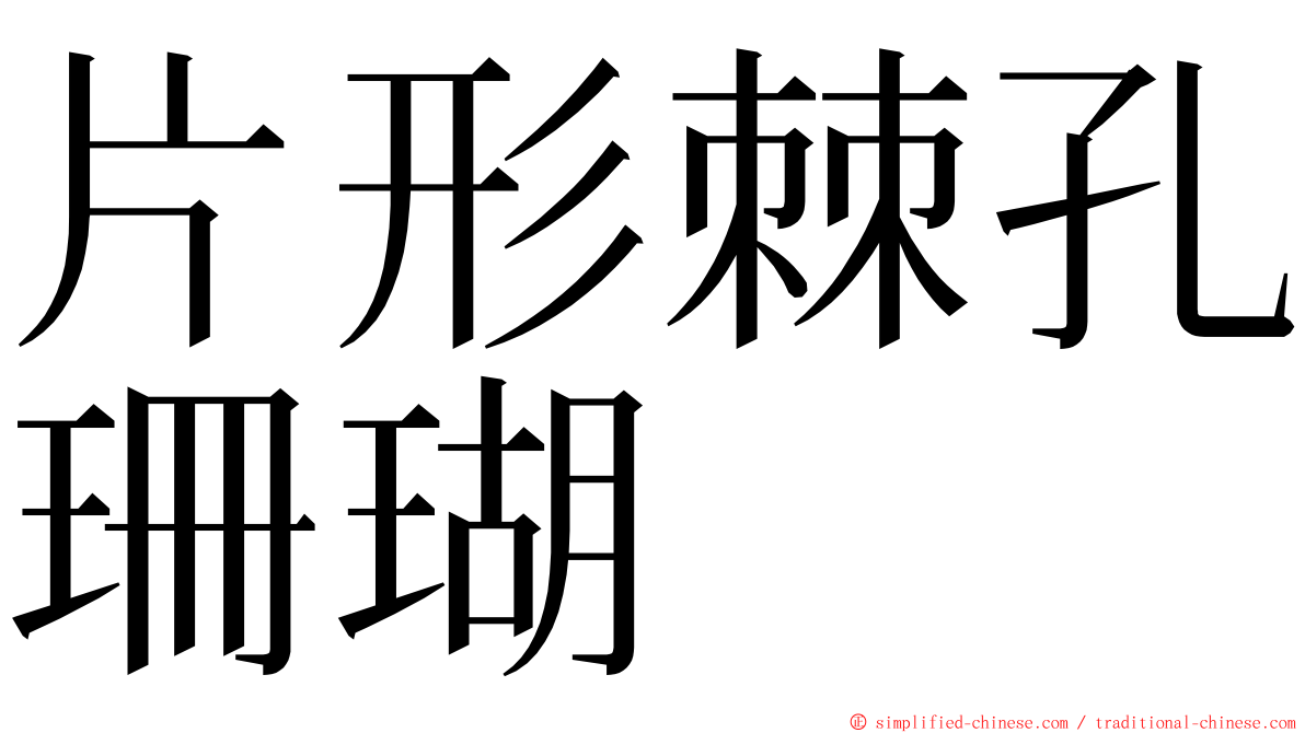 片形棘孔珊瑚 ming font