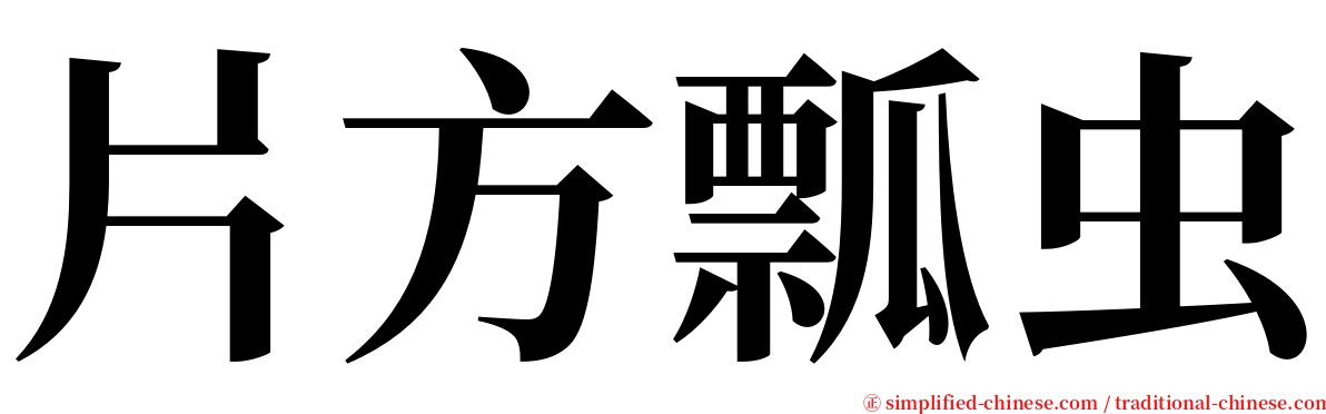 片方瓢虫 serif font