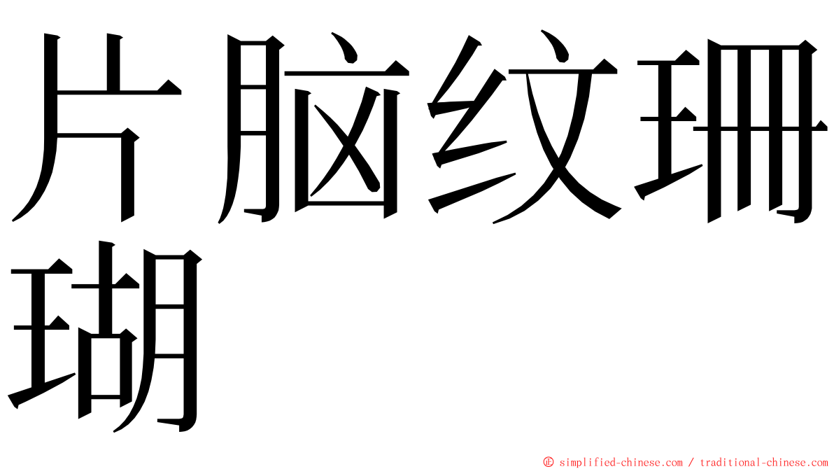 片脑纹珊瑚 ming font